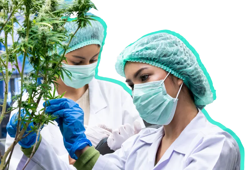 Cresco case study image