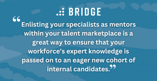 Enlisting your specialists as mentors within your talent marketplace is a great way to ensure that your workforce’s expert knowledge is passed on to an eager new cohort of internal candidates.