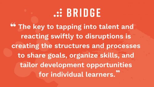 The key to tapping into talent and reacting swiftly to disruptions is creating the structures and processes to share goals, organize skills, and tailor development opportunities for individual learners.