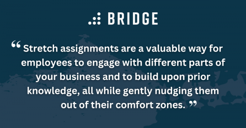 Stretch assignments are a valuable way for employees to engage with different parts of your business and to build upon prior knowledge, all while gently nudging them out of their comfort zones.