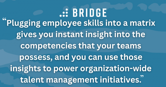 Plugging employee skills into a matrix gives you instant insight into the competencies that your teams possess, and you can use those insights to power organization-wide talent management initiatives.