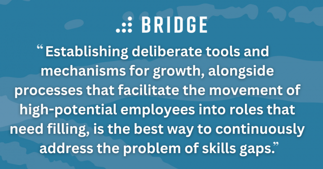 Establishing deliberate tools and mechanisms for growth, alongside processes that facilitate the movement of high-potential employees into roles that need filling, is the best way to continuously address the problem of skills gaps.